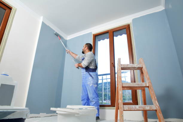 Best Environmental Consulting for Mold Prevention  in Heyburn, ID