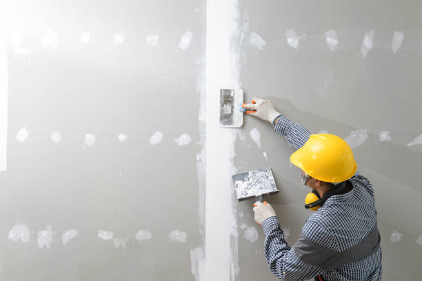 Best Residential Mold Inspection & Testing  in Heyburn, ID