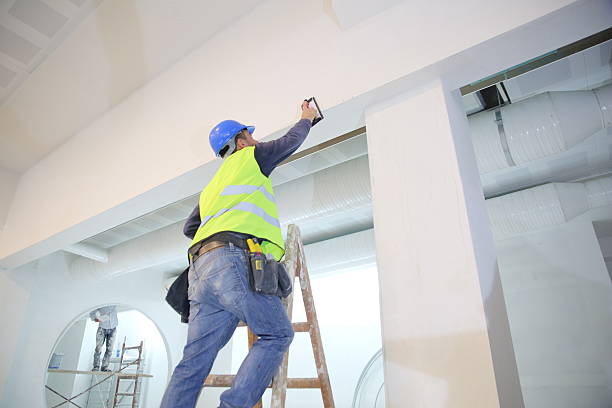 Best Basement Mold Removal  in Heyburn, ID