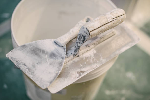 Best Industrial Mold Remediation  in Heyburn, ID